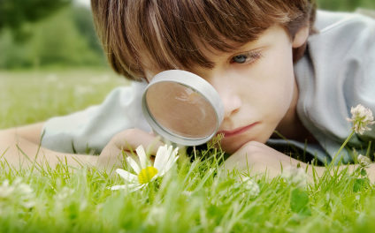 Los Niños y La Naturaleza